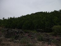 nte Arcimis-20100530 057
